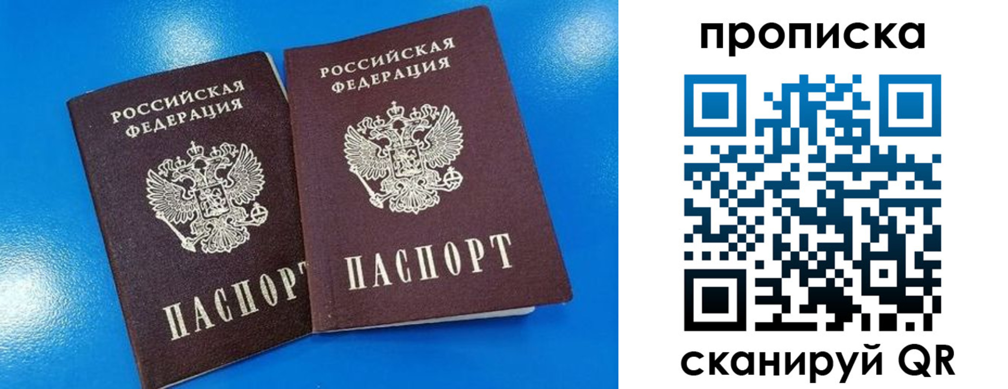 прописка для школы в Мончегорске