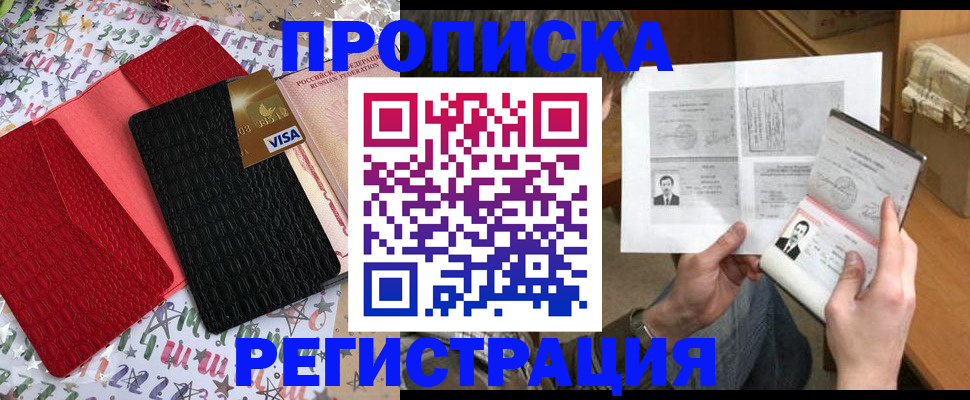 прописка поиск в Мончегорске